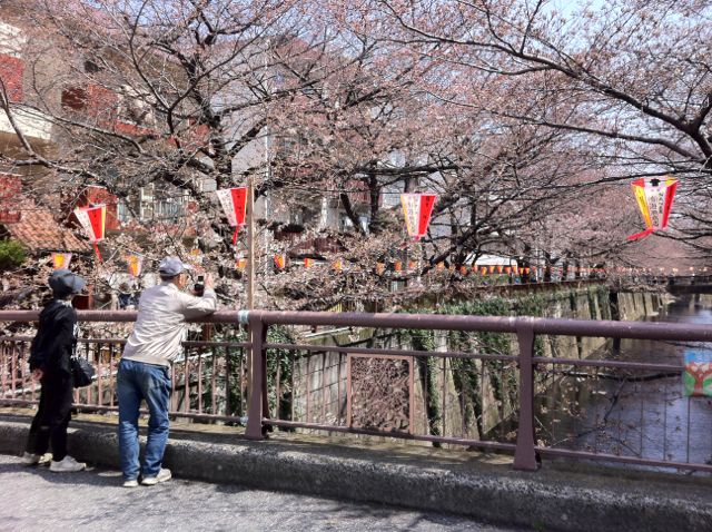目黒川.jpg