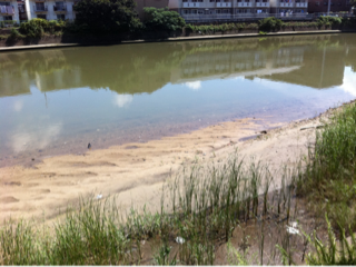 image-20110827110659.png